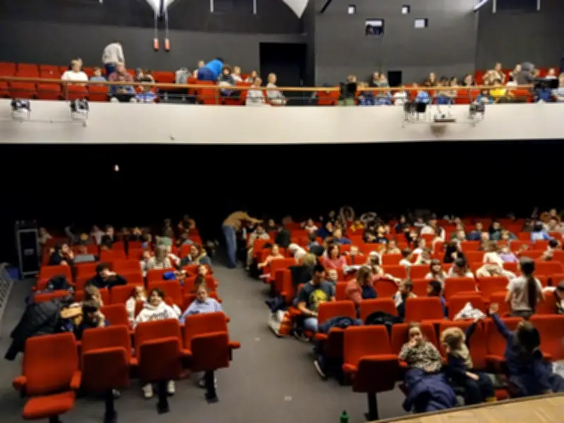 Spectacle « Inclassables » : 100 enfants sensibilisés au handicap à Pont-l'Abbé-d'Arnoult