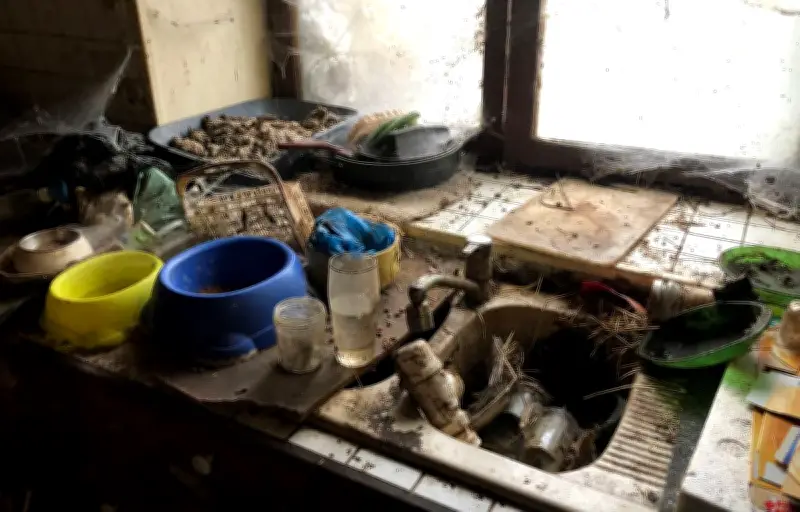 Squat à Saint-Vran : une maison rendue dans un état désastreux après trois ans