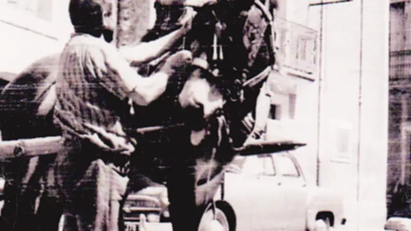 Sérignan célèbre ses figures locales : hommage à M. Falcou et à son âne emblématique