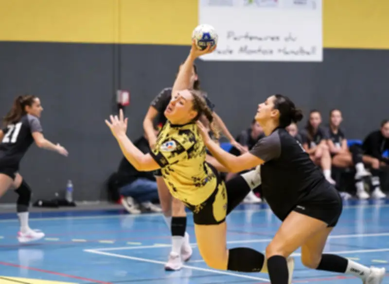 Stade Montois handball : un défi de taille face à Lège-Cap-Ferret malgré les blessures