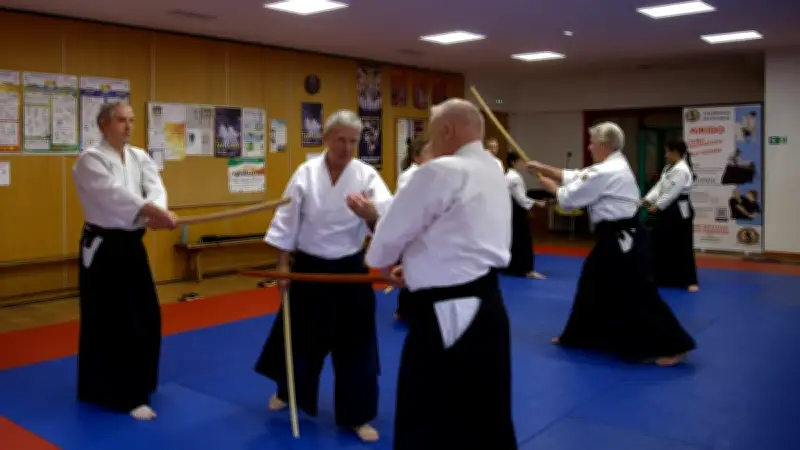 Stage d'aïkido dans le Gard : Michel Lapierre transmet rigueur et convivialité