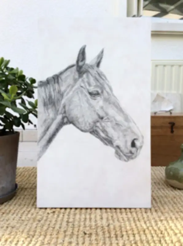 Stage d'illustration animalière et sortie familiale à Donnezac en février