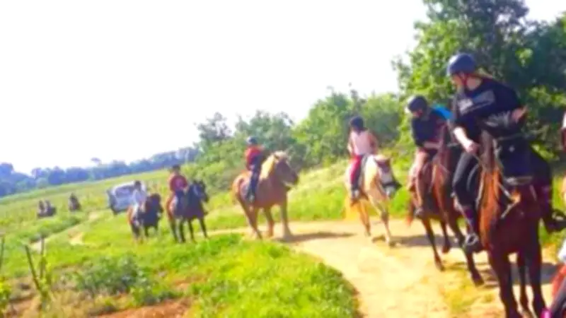 Stages équestres à la ferme Villa Calobrice : galops, cross et baby poney au programme