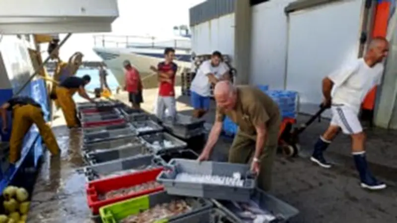 Sète : Trois nouvelles fêtes solidaires célèbrent le port et les traditions maritimes en 2026