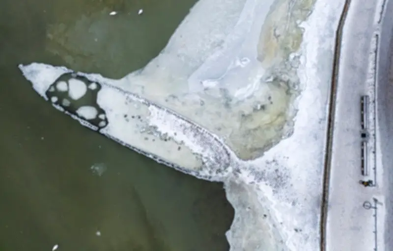 Stockholm : une épave du XVIIe siècle refait surface en raison du niveau bas de la Baltique