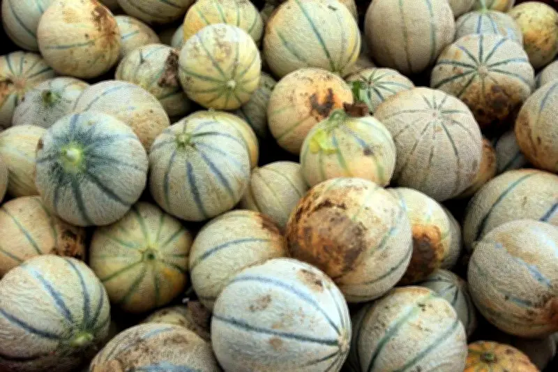 Sud Ouest lance un hors-série pratique de 365 astuces pour une vie quotidienne plus simple et responsable