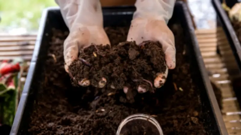 Suisse : un site secret transforme des corps humains en compost fertile en neuf mois