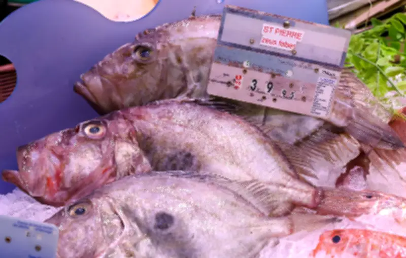 Surpêche en France : 320 000 tonnes annuelles menacent les océans et les pêcheurs artisans