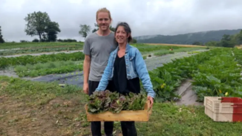 Surplus de 22 tonnes de pommes de terre bio : un couple d'agriculteurs propose des prix cassés en Aveyron et Hérault