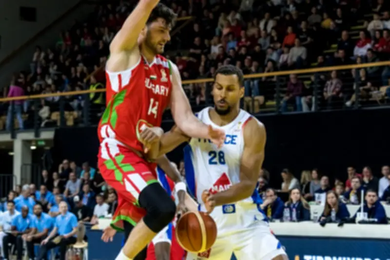 Sylvain Francisco sauve les Bleus d'un faux pas face à la Hongrie