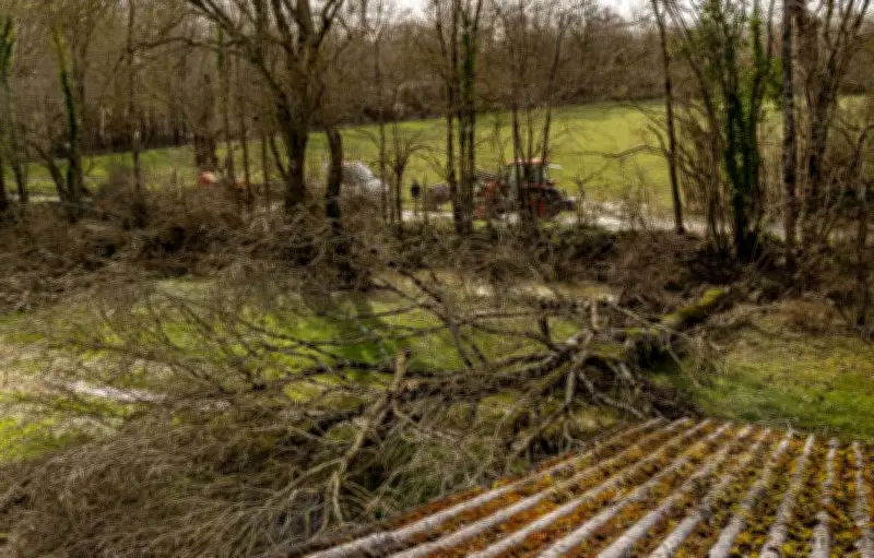 Tarn-et-Garonne : un technicien succombe après l'impact d'un arbre lors de la tempête Nils
