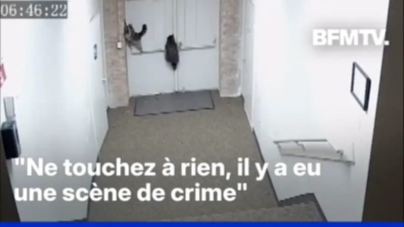 États-Unis : Des ratons laveurs suspects dans une scène de cambriolage sanglante