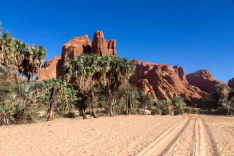 Tchad : un touriste français porté disparu, les autorités mobilisées