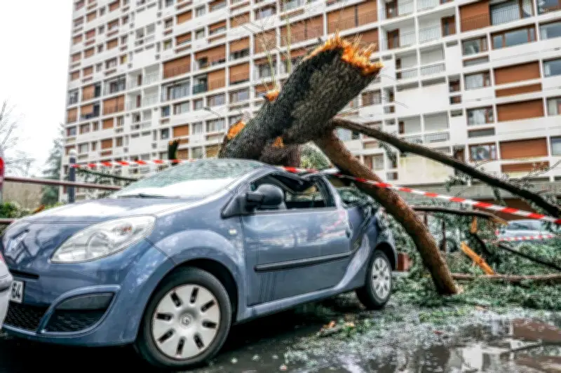 Tempête Karine en Béarn : Retour sur les dégâts et interventions du 2 mars 2020