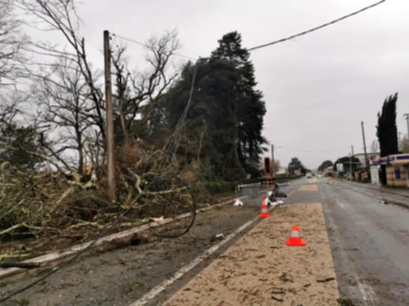 Tempête Niels à Libourne : circulation perturbée, parcs fermés et mobilisation municipale