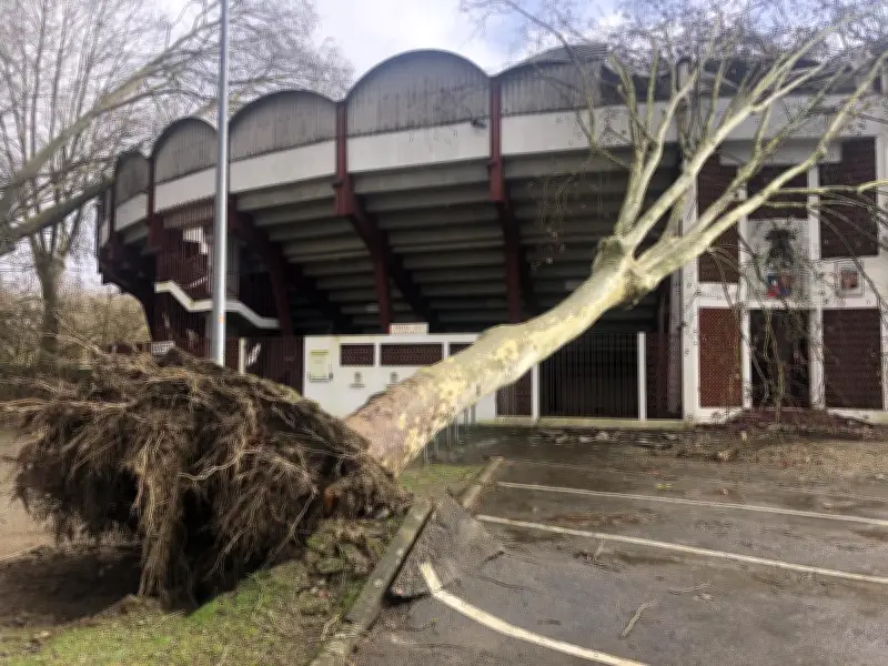 Tempête Nils à Aire-sur-l'Adour : les arènes endommagées, une novillada menacée