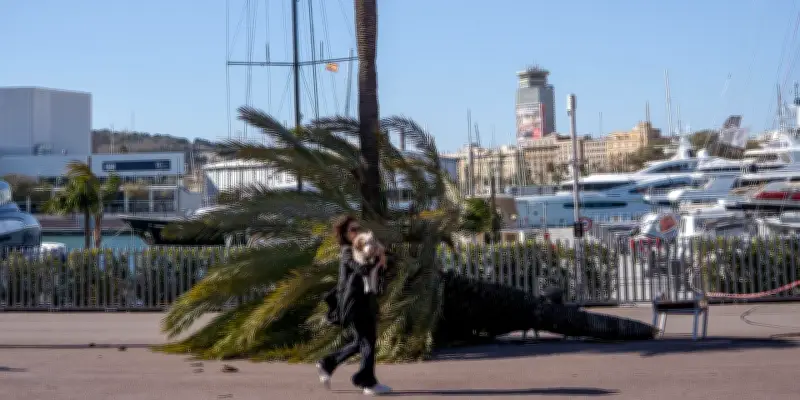 Tempête Nils à Barcelone : Une nuit de vents ultraviolents et des dégâts considérables