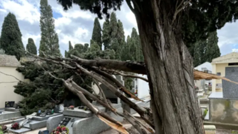 Tempête Nils à Bessan : un arbre s'effondre sur des sépultures au cimetière communal