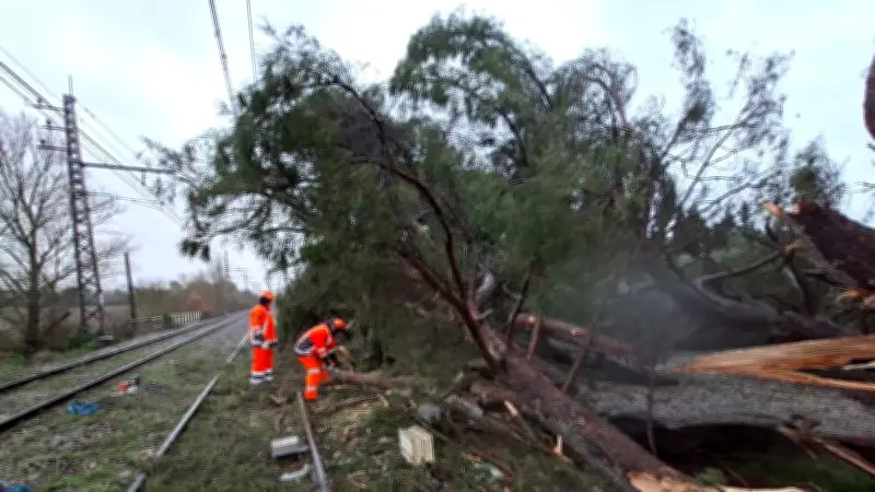 Tempête Nils : chaos en Occitanie avec vents à 180 km/h, 900 000 foyers sans électricité