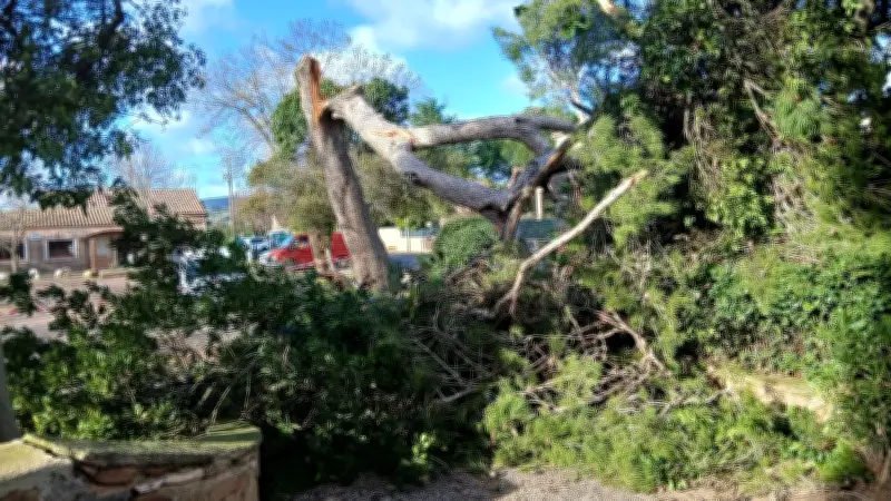 Tempête Nils : comment mesure-t-on la vitesse du vent jusqu'à 180 km/h ?