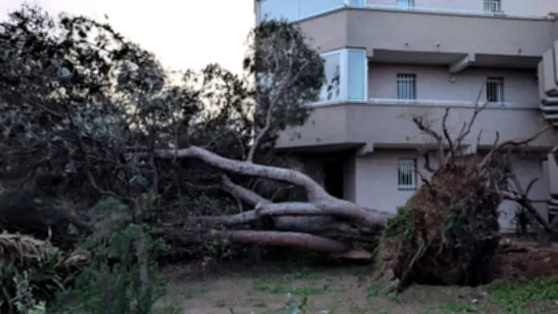 Tempête Nils : cœur de l'épisode en Occitanie, vents violents jusqu'à 14h