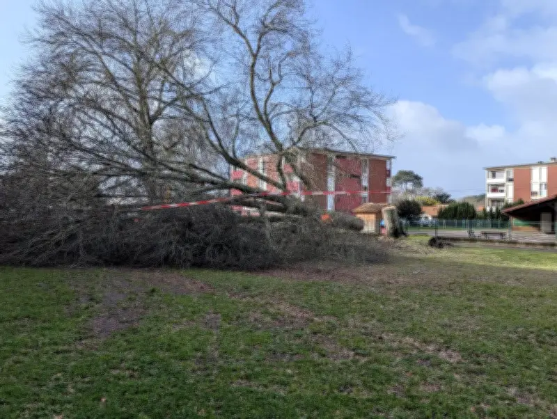 Tempête Nils dans les Landes : records de vent battus et un décès signalé