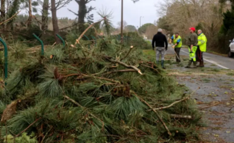 Tempête Nils dans les Landes : toit d'une salle des fêtes arraché, souvenirs de Klaus ravivés