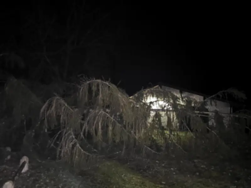 Tempête Nils dans les Landes : Une nuit cauchemardesque et un premier décès