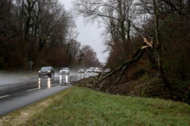 Tempête Nils dans les Pyrénées-Atlantiques : 116 interventions des pompiers et 36 000 foyers privés d'électricité