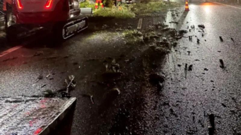 Tempête Nils dans l'Hérault : arbres couchés, trains bloqués et routes coupées