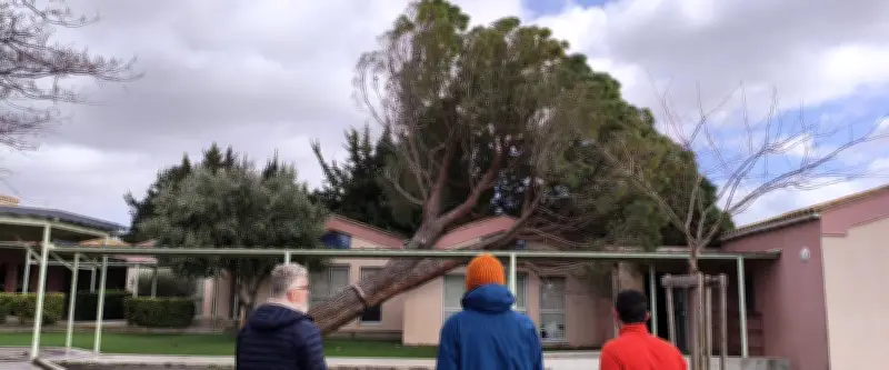 Tempête Nils dans l'Hérault : coupures d'électricité et arbres tombés à Capestang