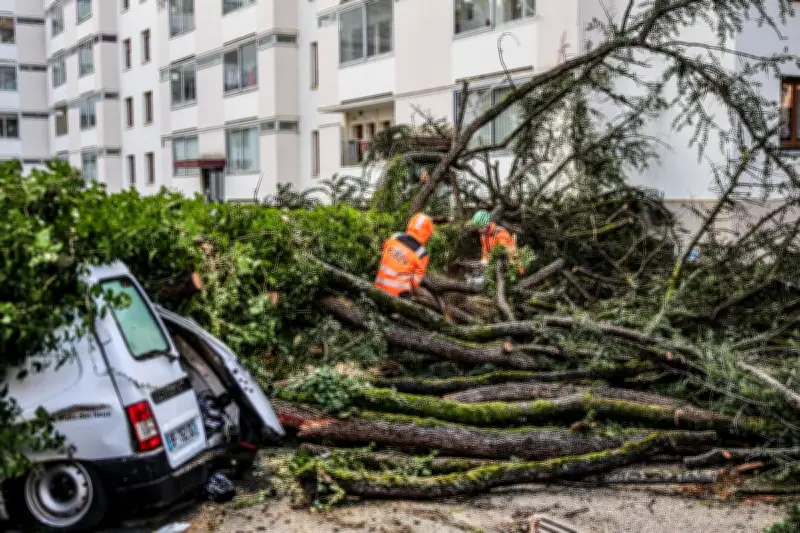 Tempête Nils en Béarn : les dégâts impressionnants à Pau, arbres déracinés et voitures écrasées