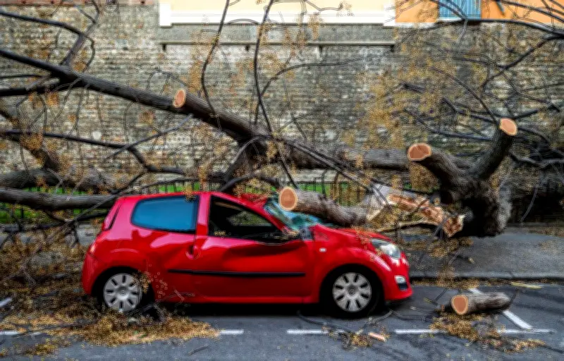 Tempête Nils : La Corse et les Alpes en ligne de mire après le Sud-Ouest