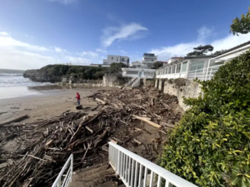 Tempête Nils : le bois flotté envahit les plages, entre nuisance et opportunités
