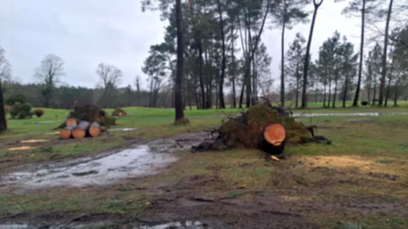 Tempête Nils : le golf de Mont-de-Marsan dévasté, les bénévoles mobilisés