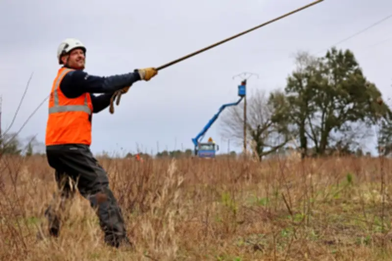 Tempête Nils : les Landes toujours en crise électrique et routière avant une nouvelle alerte