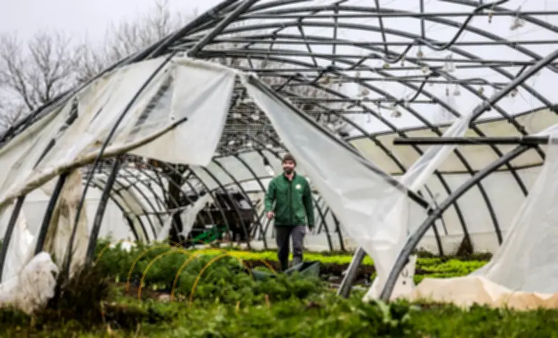 Tempête Nils : les maraîchers béarnais dévastés réclament catastrophe naturelle