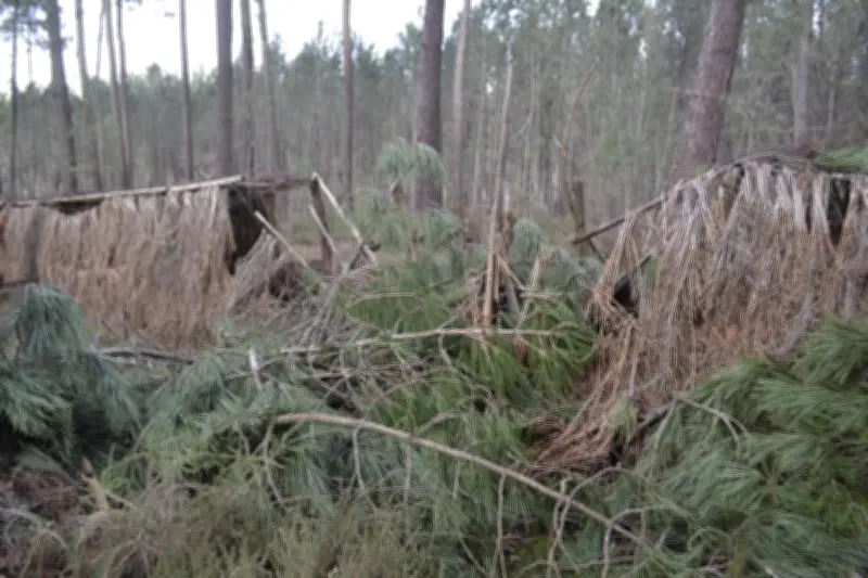 Tempête Nils : Les palombières du Sud-Gironde dévastées, les chasseurs inquiets