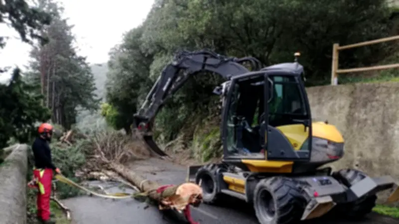 Tempête Nils : les services techniques mobilisés face aux dégâts dans les Avant-Monts