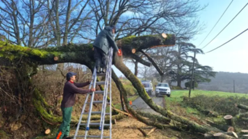 Tempête Nils à Moirax : Élus et riverains mobilisés pour dégager les routes