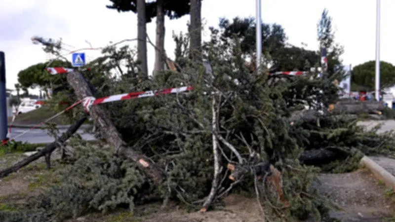 Tempête Nils : records de vent à 180 km/h en Occitanie, bilan humain et perturbations majeures