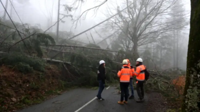 Tempête Nils : Rosis isolé après des chutes d'arbres massives sur la D180