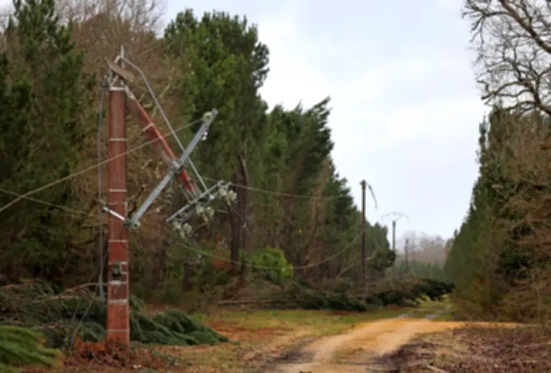 Tempête Nils : Solidarité et mobilisation à Sabres après des dégâts majeurs