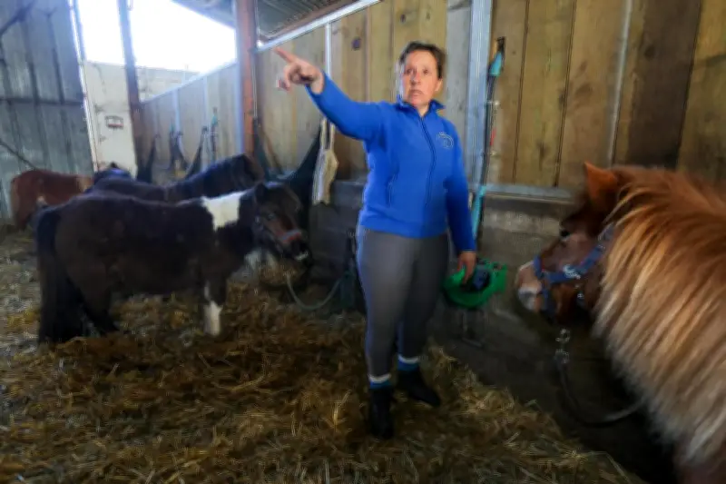 Tempête Nils : Solidarité pour abreuver 60 chevaux privés d'eau à Léon après une panne électrique