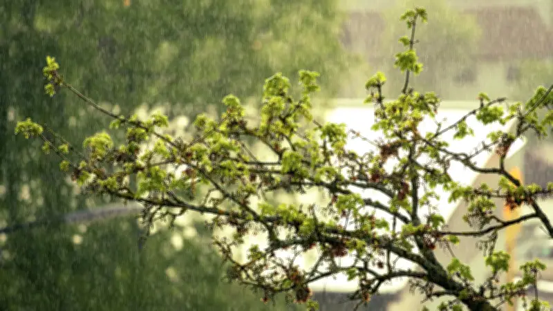 Tempête Nils : Trois départements en alerte rouge, vents violents et inondations menacent