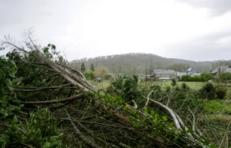 Tempête Nils : un toit projeté à dix mètres, un couple miraculé à Pollestres