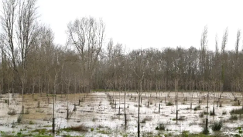 Tempête Nils : une deuxième victime et de nombreux départements en vigilance rouge et orange