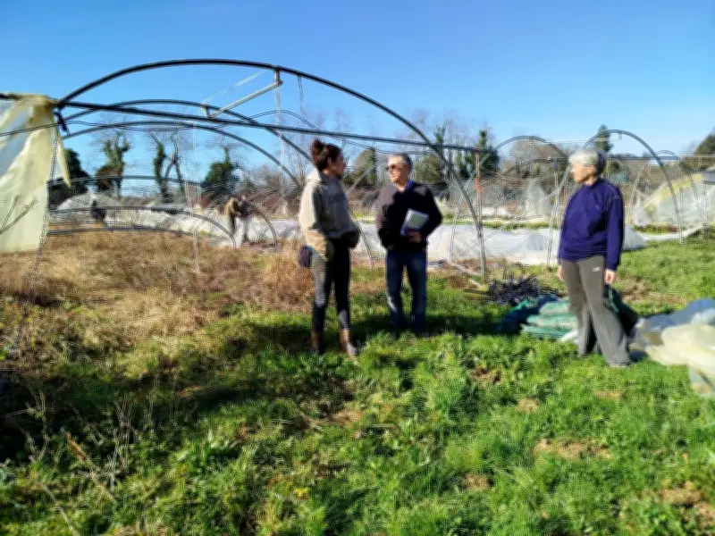 Tempête Nils : une maraîchère bio lance un appel à l'aide pour sauver sa ferme