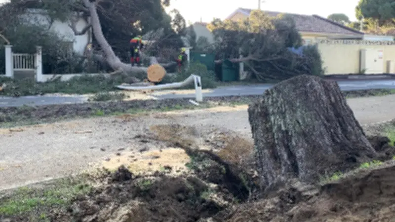 Tempête Nils : vents à 180 km/h et chaos dans le Languedoc-Roussillon