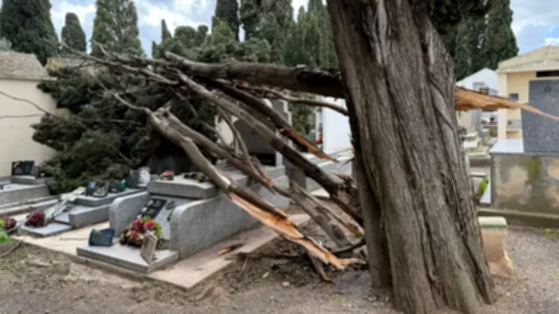 Tempête Nils : vents violents et coupures d'électricité persistent dans l'Hérault
